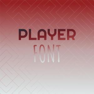 Various的专辑Player Font