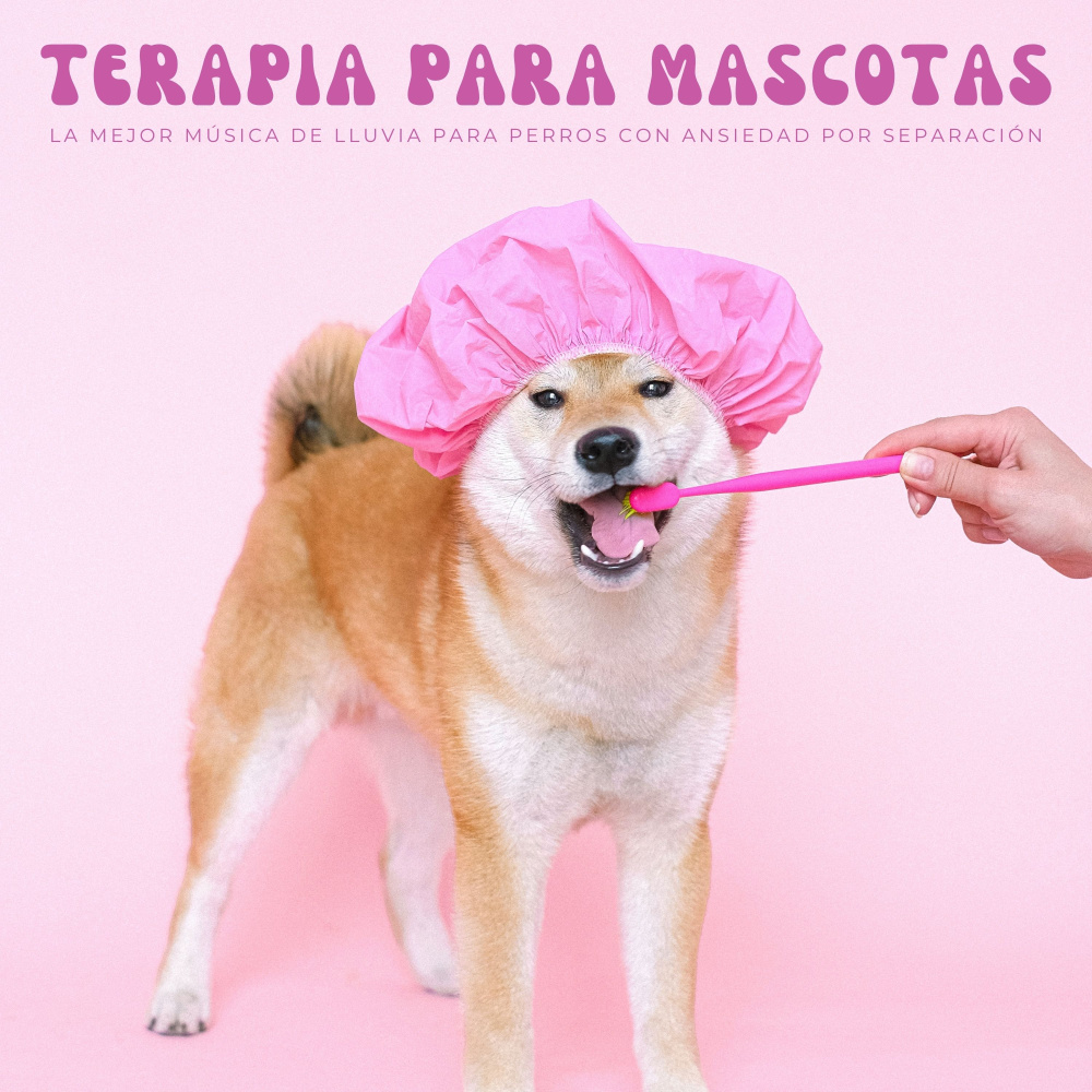 Después De Un Largo Día De Juego