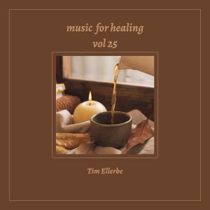 Tim Ellerbe的專輯Music for Healing, Vol. 25