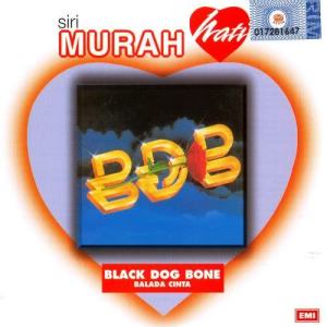 ดาวน์โหลดและฟังเพลง Ku Cari Penawar Luka พร้อมเนื้อเพลงจาก Black Dog Bone