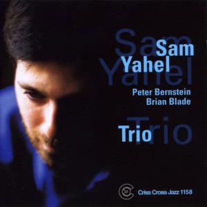 收聽Sam Yahel Trio的Blues For Bulgaria歌詞歌曲
