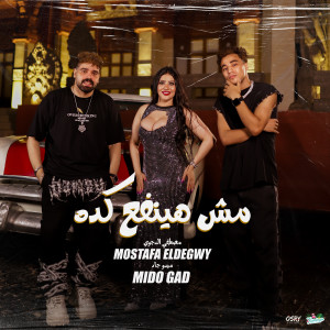 Listen to مش هينفع كده song with lyrics from Mostafa El Degwy