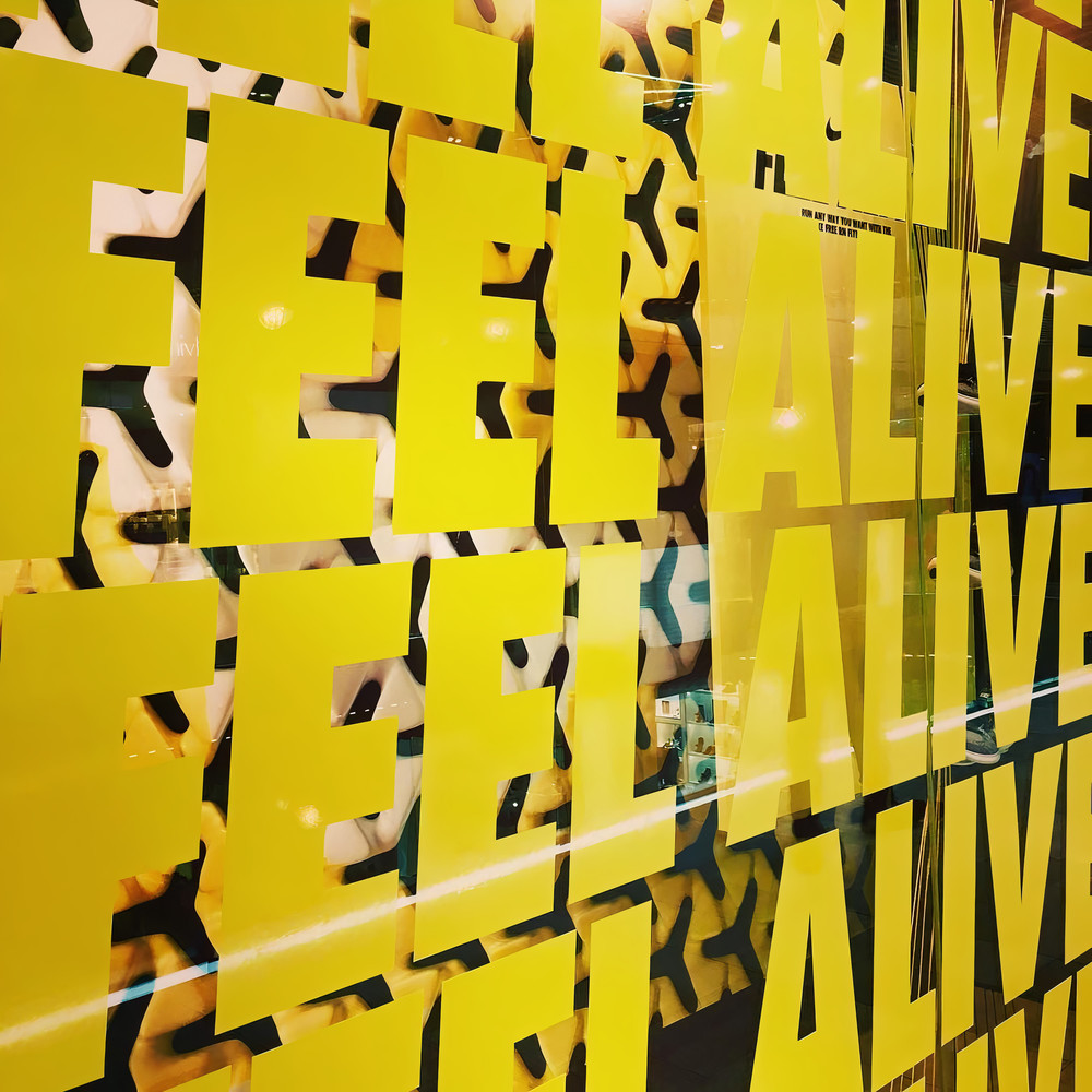Feel Alive (Explicit)