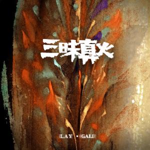 Listen to 三昧真火 song with lyrics from Lay (EXO)