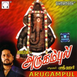 ดาวน์โหลดและฟังเพลง Thangamani Pillaiyaaru [Language: Tamil; Genre: Ganesha] พร้อมเนื้อเพลงจาก Srihari