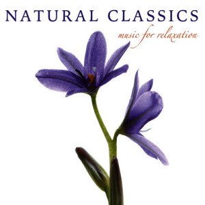 ดาวน์โหลดและฟังเพลง Prelude and Fugue No. 1 in C Major, Bwv 846 "The Well-Tempered Clavier" พร้อมเนื้อเพลงจาก Dan Gibson's Solitudes