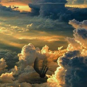 收聽Damoy的Fall (Explicit)歌詞歌曲