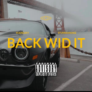 Album Back wid it (feat. Stunnaman02) [Remix] (Explicit) from Stunnaman02