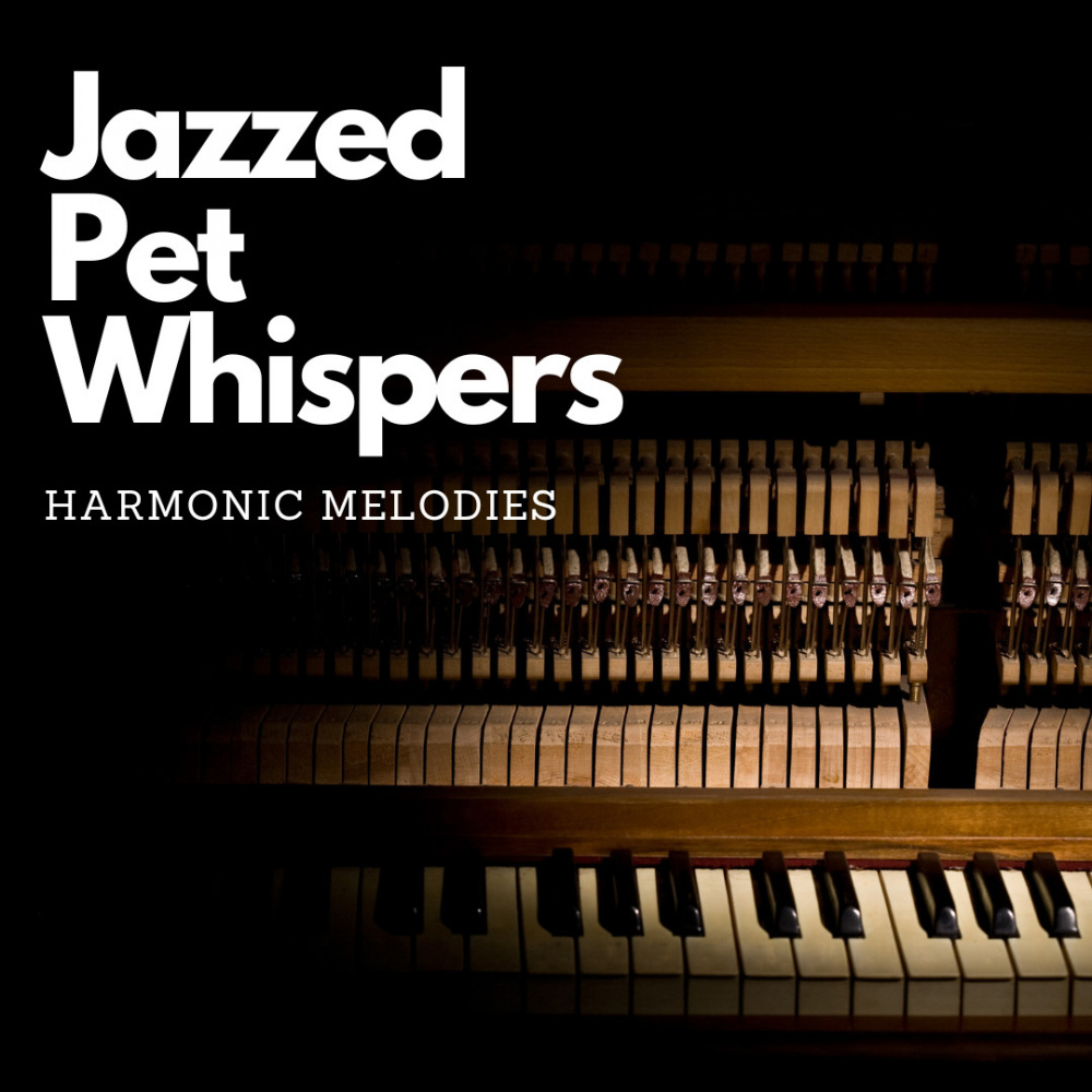 Piano Jazzed Pet Whispers of Joy: Harmonic Melodic Connection