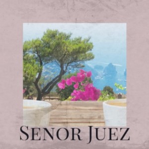 Listen to Senor Juez song with lyrics from Orquesta Aragon