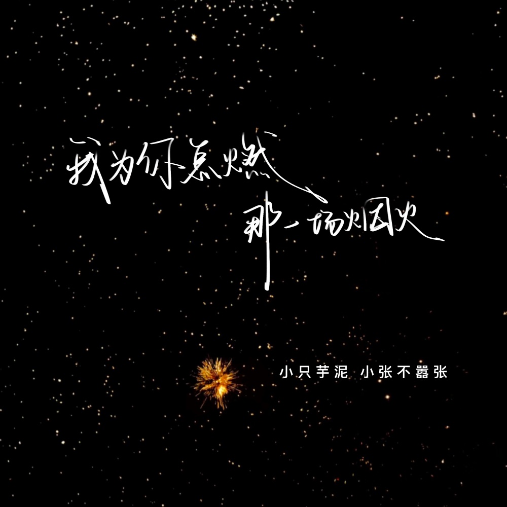 我为你点燃那一场烟火