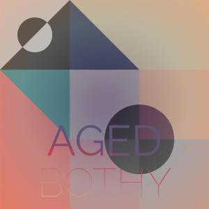 Various的专辑Aged Bothy