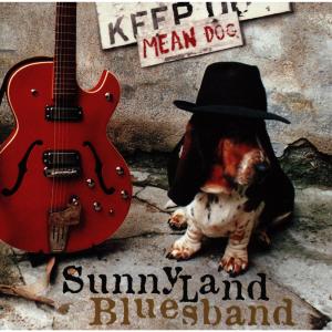 Dengarkan Pull Me Under lagu dari Sunnyland Bluesband dengan lirik