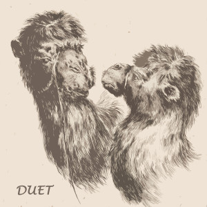 Duet