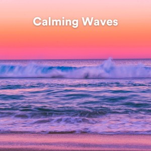 Album Calming Waves from Calming Waves