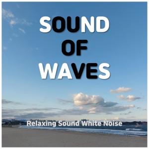 Relaxing Sound of Ocean Waves (White Noise ASMR)