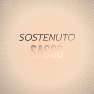 Various Artists的專輯Sostenuto Sasso