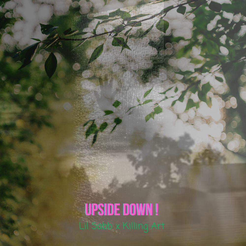 upside down ! (feat. Killing Art & Johnny Friend) (Explicit)