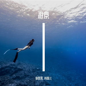 Album 游京 from 李笨笨