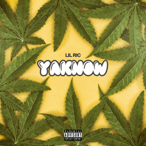 Lil Ric的專輯YaKnow (Explicit)