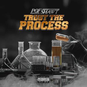 Shawt的專輯trust the process (Explicit)
