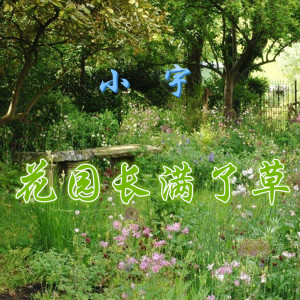 Album 花园长满了草 from 