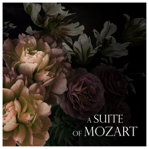 收聽Amadeus Quartet的Mozart: String Quartet No. 9 in A Major, K. 169: I. Molto allegro歌詞歌曲