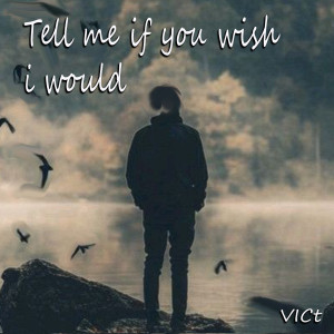 Vict的专辑Tell Me If You Wish I Would