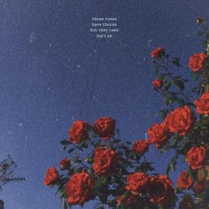 ดาวน์โหลดและฟังเพลง rose gardens พร้อมเนื้อเพลงจาก jxsie beats
