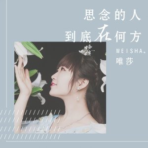 收听唯莎的思念的人到底在何方歌词歌曲