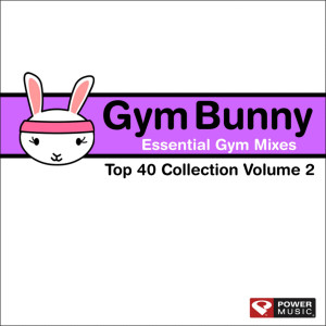 ดาวน์โหลดและฟังเพลง Hush Hush; Hush Hush (Ronnie Maze Club Remix) พร้อมเนื้อเพลงจาก Power Music Workout