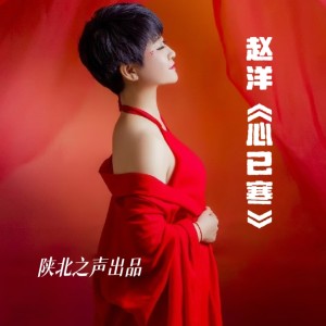 Album 贾东《心已寒》 from 赵洋
