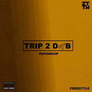 Album Trip 2 DXB from PapiSnoop
