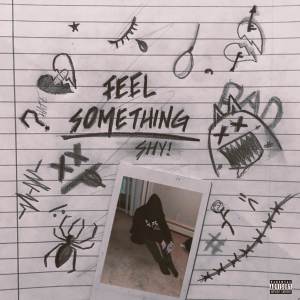SySteMic的專輯Feel Something