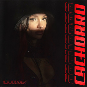 收聽La Joaqui的Cachorro歌詞歌曲