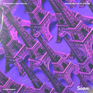 Album Wake Me Up In Paris from Anthony Keyrouz
