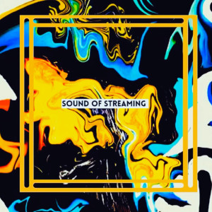 Album Sound of Streaming from Jeseka Price