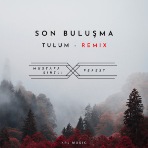 Mustafa Sırtlı的專輯Son Buluşma Tulum Vadisi (Remix)