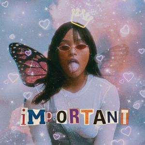 收聽Rachel West的Important歌詞歌曲