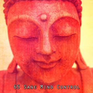 65 Sane Mind Control