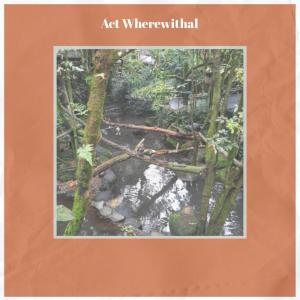 Album Act Wherewithal from Various
