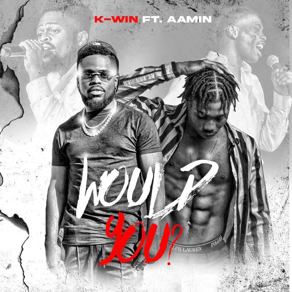 Would you? (feat. Aamin) (Explicit)