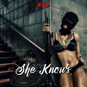 Listen to She Knows (Explicit) song with lyrics from Mylo