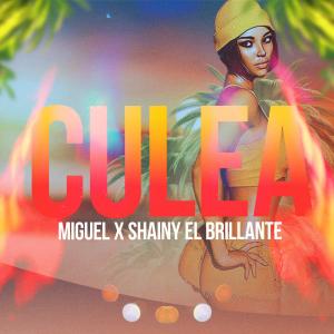 Album Culea (feat. Shainy El Brillante) (Explicit) oleh Shainy El Brillante