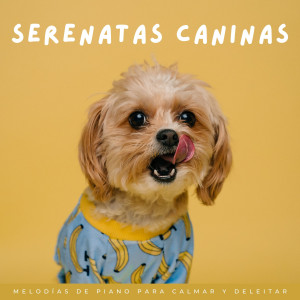 Album Serenatas Caninas: Melodías De Piano Para Calmar Y Deleitar from Relajación Piano