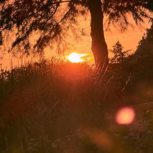 收聽JayTizzle的Wonder Why? (Explicit)歌詞歌曲