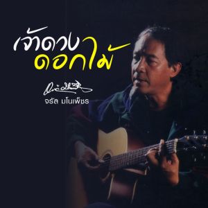 Listen to เจ้าดวงดอกไม้ song with lyrics from Group Star