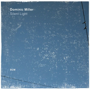 收聽Dominic Miller的Fields Of Gold歌詞歌曲