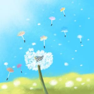 Album Dandelion seeds from 이요한