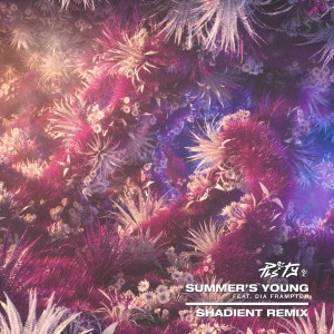 Listen to Summer's Young (Shadient Remix) song with lyrics from PLS&TY